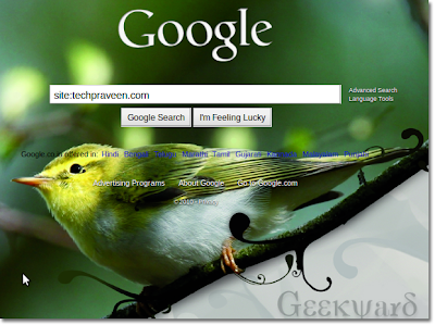 Google Backgrounds on For Google Com   Geekyard How Do I Set A Custom Background For Google