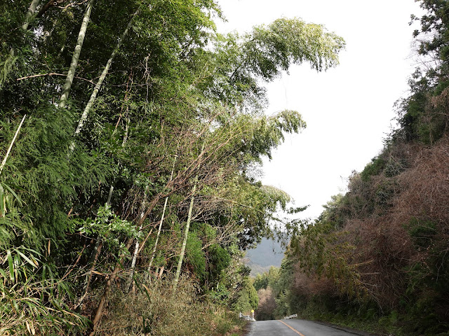 鳥取県米子市淀江町高井谷　農道を上ります