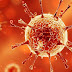کورونا وائرس دراصل کیا ہے اور آپ اس سے محفوظ کیسے رہ سکتے ہیں،جانیں وہ باتیں جو آپ کی زندگی بچاسکتی ہیں