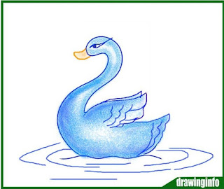 Find A Quick Way To Swan Drawing With Color