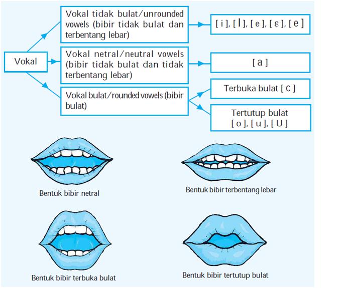 Membedakan dan Melafalkan Fonem Bahasa Indonesia  Like Shared
