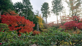 京都 柳谷観音 柳谷聖苑 紅葉