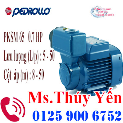  Máy bơm nước đẩy cao dân dụng gia đình Pedrollo PKSm 65 220V 0.7HP