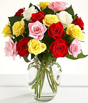  Proflowers on Of Proflowers Coupon Code Radio And Their Function   Proflowers