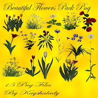 Beautiful Flowers Pack PNG Tubes