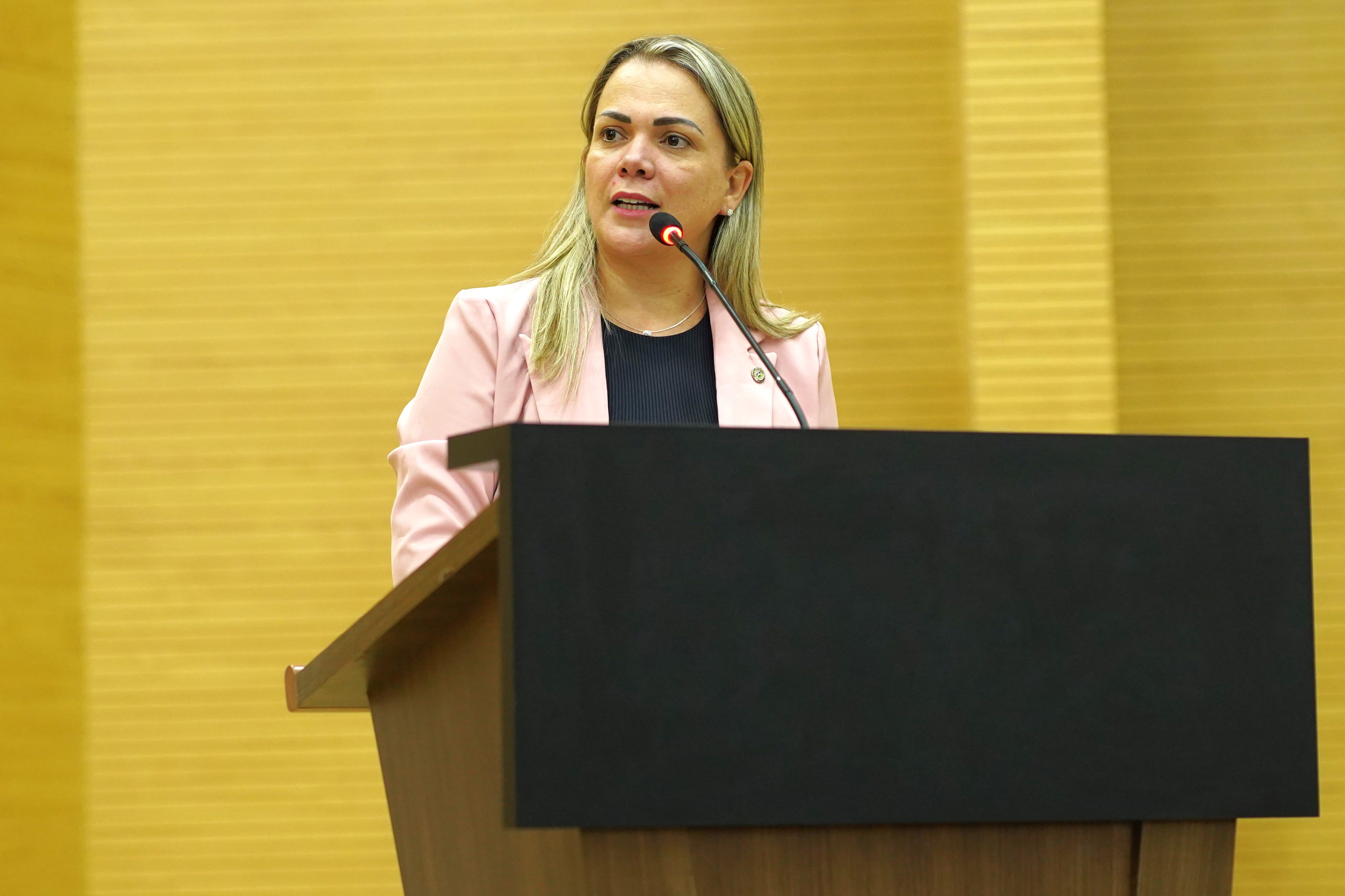 Deputada Cláudia de Jesus defende QR Code em contas de serviços para divulgar lista de foragidos por violência contra a mulher