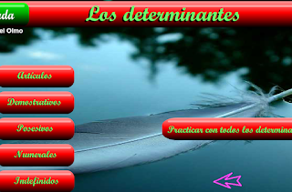 LOS DETERMINANTES. ACTIVIDADES ONLINE