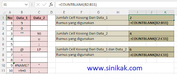 CONTOH PENGGUNAAN FUNGSI COUNTBLANK DALAM MICROSOFT EXCEL