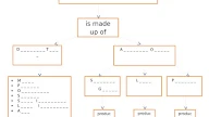 Digestive System Concept Map