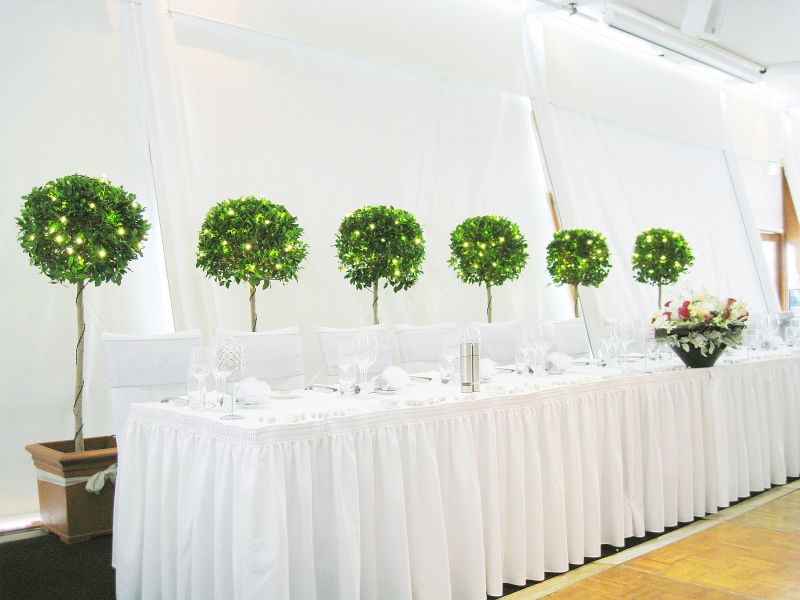 Wedding Decor Indoor Trees