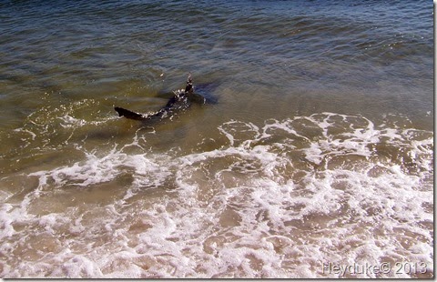 Mexico Beach FL 028