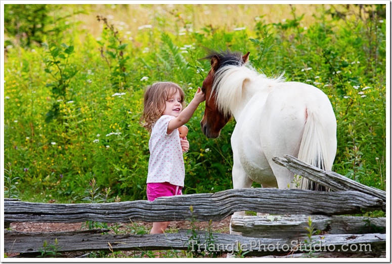 Savannah petting a Grayson Highland pony by Steve Jackle - www.trianglephotostudio.com