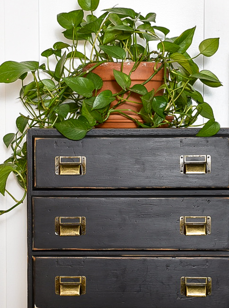 Bronze label pulls on storage drawers