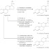 Microbiology in the New Millennium