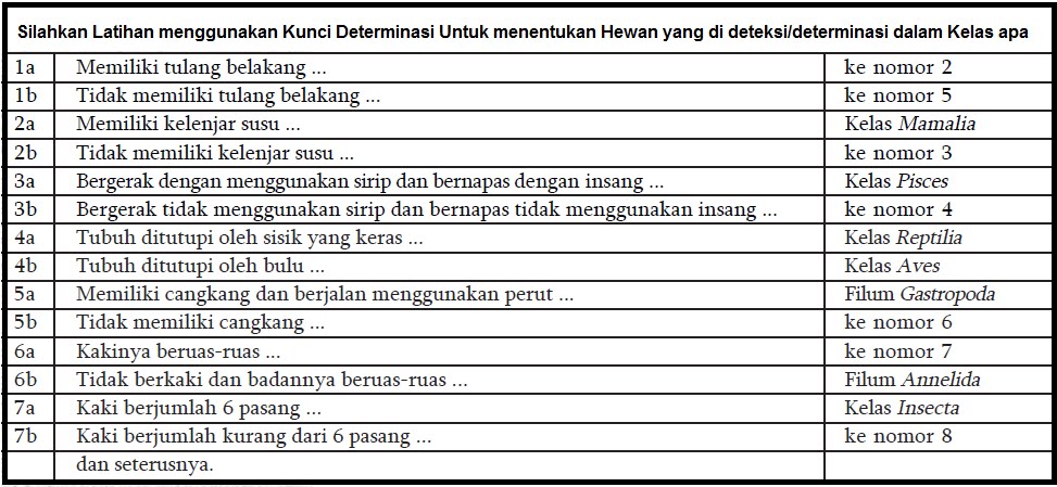 Smanra biologi: Januari 2014