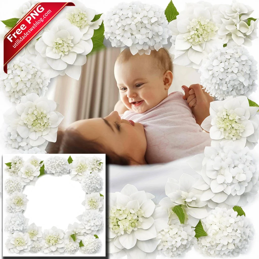 marco para fotos con flores de hydrangea u hortensias blancas en png con fondo transparente para descargar gratis