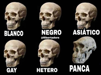 Calavera, cráneo, panca, blanco, negro, asiático, gay, hetero