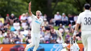 Kane Williamson 238 - New Zealand vs Pakistan 2nd Test 2021 Highlights