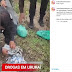 Grande apreensão de drogas em Ururaí