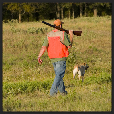 yellow lab, field dress