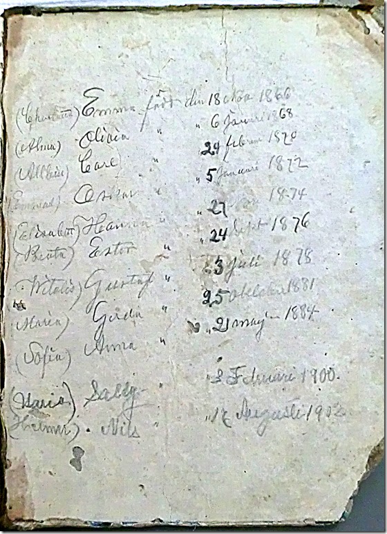 CIMG5862-001