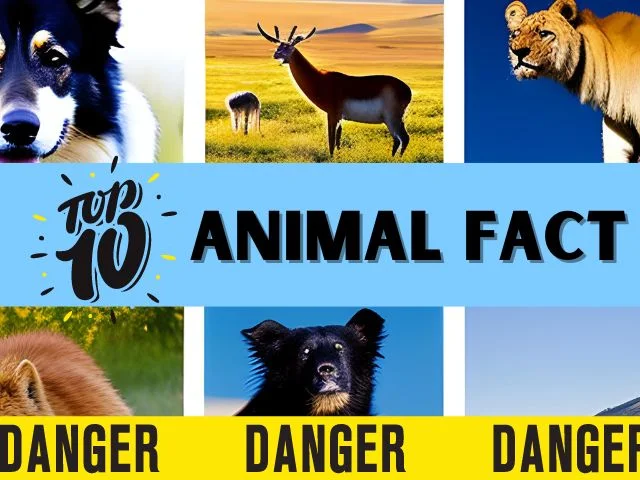 Top 10 Most Dangerous Animals in the World Facts 2023