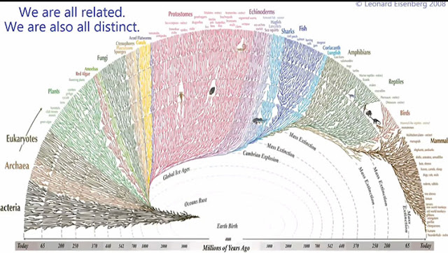 Circular diagram showing evolutionary history of life on Earth (Source: L. Eisenberg, 2009)