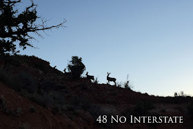 48 No Interstate back roads cross country coast-to-coast road trip deer silhouette Kanab Utah