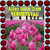 Gif Geburtstagswünsche : Gifs Herzlichen Gluckwunsch Zum Geburtstag - Es gibt verschiedene wege, die botschaft zu übermitteln: