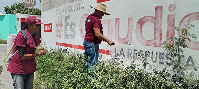 Retiran la propaganda de Sheinbaum en casas y calles de Yucatán