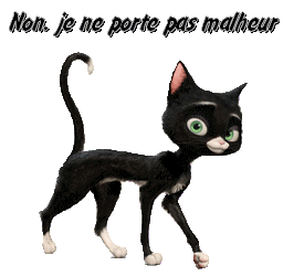 Le Monde Selon Moe La Superstition Du Chat Noir Le Monde Selon Moe La Superstition Du Chat Noir