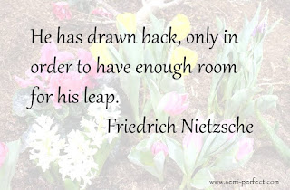 He has drawn back, only in order to have enough room for his leap. -Friedrich Nietzsche