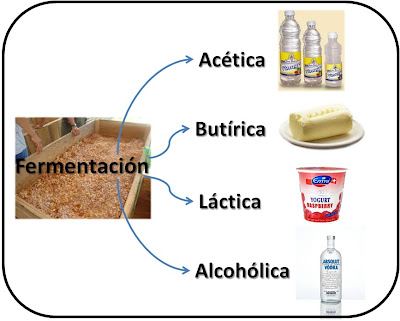 Procesos físico-químicos presentes en la fabricación del Vodka ...