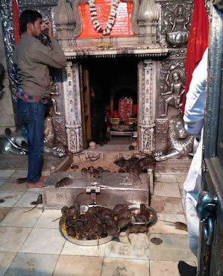 करणी माता मंदिर बीकानेर देशनोक