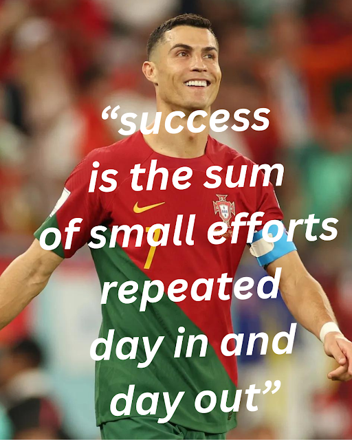 Success Is The Sum Of Small Efforts