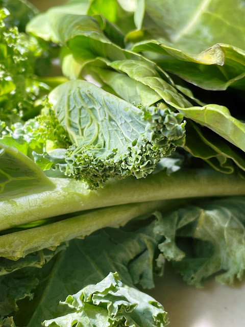 a close up photo of kale and collard greens