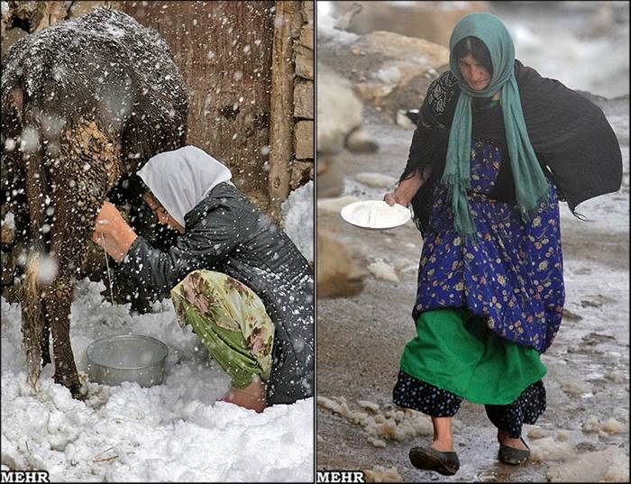 Palangan (meaning leopards in Persian) is a village located 47 kilometers north-west of Kamyaran in Iran's Kurdestan province. This village is spread over both sides of a valley. All of the houses are made of stone and like a staircase they are in a continuous pattern, i.e. the roof of one house is the yard of another house. This village is one of the most beautiful villages of the province not only because of its unique architecture, but also because of its beautiful nature. It is located beside a river which flows into the Sirwan River. This area was one of the important regions of Kurdistan from Saljooqi period on and Palangan Castle which is next to the village over a mountain bears witness to this claim. (source: Islamic Republic of Iran's Minister of Interior)