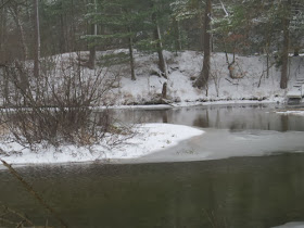 Bass Lake Outlet