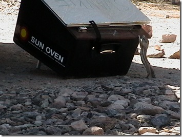 IMGA0343