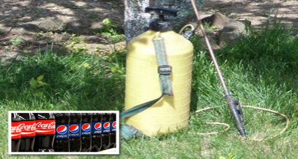 india foloseste insecticid cu pepsi si cola