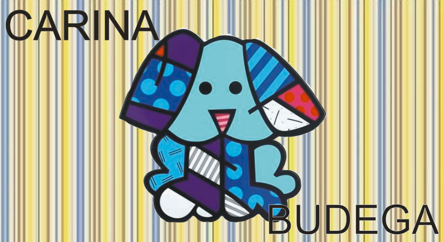 Carina Budega