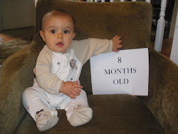 Eight Months Old!
