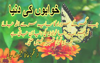Here, I publish articles, poetries, travelogues, novels, fiction, short stories, humorous stories, moral stories, and love stories in Urdu  & English. کہانی