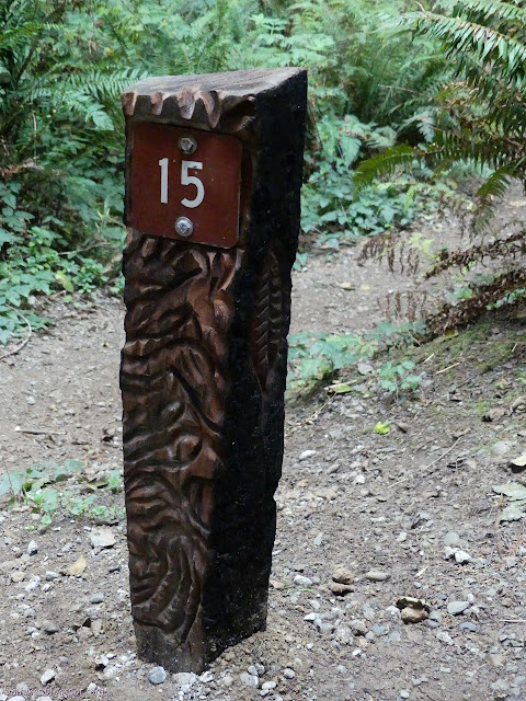 burned, then carved post for trail 15