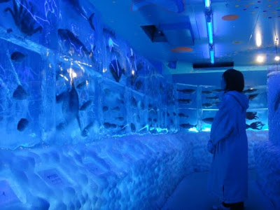 Frozen Ice Aquariam in Japan 