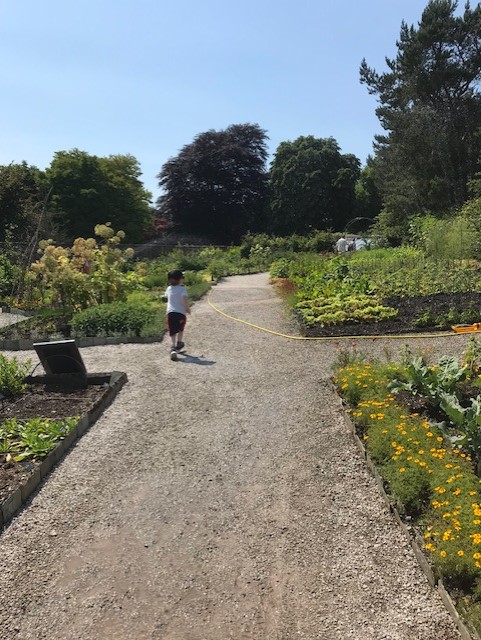 Little boy running among some raised flowerbeds