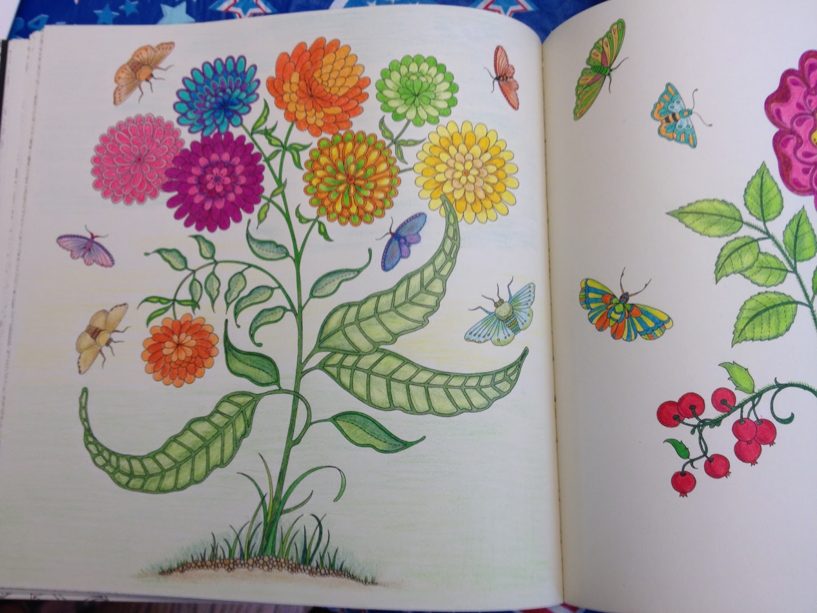 Download The Best Adult Coloring Books The Jersey Momma
