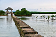 Olango Island Wildlife Sanctuary Cebu