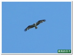 20110424_103805_023_TianLiaoyang_11_07