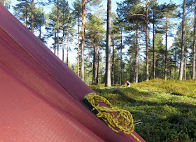 tentipi